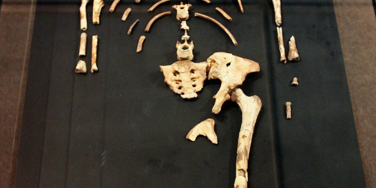 dl.beatsnoop.com-3000-JPZLIcyDeT